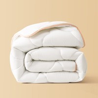 百丽丝水星集团旗下被子被芯 A类亲肤秋冬保暖加厚被芯七孔透气冬被 【A类透气纤维】加厚冬被漂白色(约4-8斤) 150cm×210cm