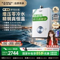 史密斯（A.O.SMITH）佳尼特燃气热水器16升 家电国家补贴 零冷水精钢不锈钢换热器包 8年 恒温耐用TJ1 16L