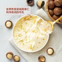 哈根达斯（Haagen-Dazs）经典夏威夷果仁口味冰淇淋 100ml/杯 雪糕
