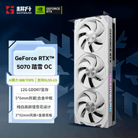 耕升GeForce RTX 5070 踏雪 OC 12G GDDR7 游戏显卡 DLSS 4.5 NVIDIA 英伟达 电竞游戏 OpenClaw养龙虾