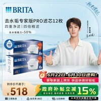 碧然德(BRITA)净水壶 滤芯 MAXTRA Pro WLE 去水垢专家版PRO滤芯12枚(本品加附件6个共计12个非18枚)
