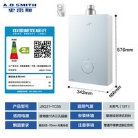史密斯（A.O.SMITH）佳尼特【小精钢TCS5】16升燃气热水器 国家补贴 安全守护 持久恒温大水量 新品