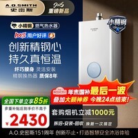 史密斯（A.O.SMITH）佳尼特【小精钢TCA1】16升精钢燃气热水器 国家补贴 JSQ31-TCA1 持久恒温大水量 新品