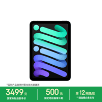 Apple/苹果 iPad mini (A17 Pro) 8.3英寸 平板电脑(128G WLAN版/mini7/MXN63CH/A)深空灰色