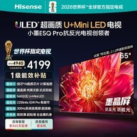 海信电视小墨E5Q Pro 65英寸 560分区U+MiniLED 信芯芯片抗反光防眩光墨晶屏能效补贴世界杯65E5Q-PRO