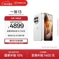 一加 13 24GB+1TB 白露晨曦 oppo 国家补贴 高通骁龙®8至尊版 6000mAh 冰川电池 智能AI游戏5G手机