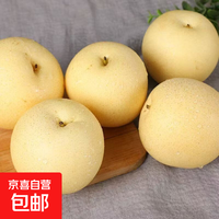 京喜加河北赵县白皇冠梨新鲜水果黄冠梨精品水果 带箱2斤装【单果150g+】小果试吃