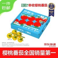 京鲜生&一颗大黄樱桃番茄带枝串(2~5粒)净重850g水果西红柿源头直发包邮