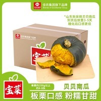 佳农宝菜 山东新采摘贝贝南瓜净4.5斤粉糯香甜 单果200g+源头直发包邮