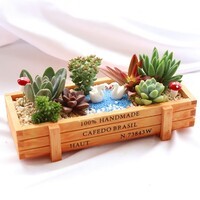 花艺萌多肉植物组合盆栽含盆含土创意diy拼盘花盆肉肉植物室内绿植花卉 天鹅河畔 含盆
