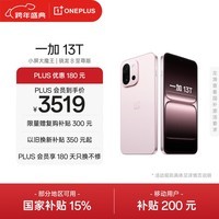 一加 13T 16GB+512GB 怦然粉 oppo 性能超强小直屏 骁龙 8 至尊版 6260mAh电池 5G游戏拍照AI智能手机