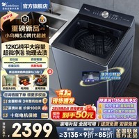 小天鹅（LittleSwan）水魔方/小乌梅5.0波轮洗衣机全自动国家补贴 10公斤/12公斤大容量变频一级能效超微净泡 以旧换新 小乌梅5.0 TB12K60 12公斤+超微净泡洗 波轮