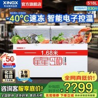 星星(XINGX)冰柜商用400升/500升大容量全冷冻家用大冷柜卧式单温冰箱雪糕柜冷冻冷藏两用岛柜冷饮超市便利店 518升 【-40°超低电子控温】一级能效518GD
