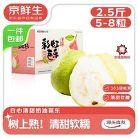 京鲜生 广东树熟软糯奶油芭乐 净重2.5斤装单果150g+ 番石榴 源头直发