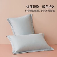 水星家纺出品百丽丝磨毛枕套 柔软透气简约枕头套【一对装】【专享】 享睡对枕套