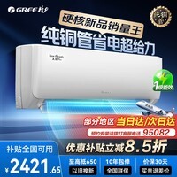 格力空调挂机天仪pro1.5匹/1p 新一级能效 变频冷暖两用 净菌自清洁壁挂式 家电以旧换新国家补贴 天仪Pro 大1匹 2026年新款