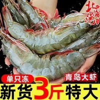 北海湾 虾 青岛大虾鲜活冷冻基围虾 虾类 海鲜水产生鲜白虾青虾海虾对虾 气冻大虾 3斤(净重)  15-17cm【单只冻 新货】