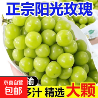 云南阳光玫瑰葡萄新鲜水果香印青提子晴王葡萄应季孕妇水果 带箱4斤（单果6克+）净重3-3.5斤
