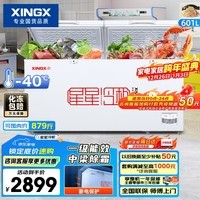 星星（XINGX）601L商用冰柜 大容量冷藏冷冻转换柜 单箱单温大容积卧式减霜保鲜节能冷柜 BD/BC-628GE 以旧换新