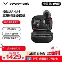 拜雅（beyerdynamic）拜亚动力AMIRON200/300 阿米罗200/300 蓝牙主动降噪耳机真无线入耳式无线苹果耳机ows开放式hifi 阿米罗 300黑色【推荐】