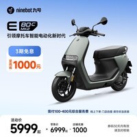 九号（Ninebot）智能电动摩托车E80c MK2全速真续航铅酸【门店自提】 到门店选颜色