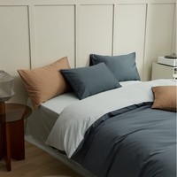 兰芮(Lanrui) 100S全棉四件套纯棉床上用品被罩床单枕套亲肤裸睡全棉套件 克雷吉蓝 1.5/1.8m床 床单款 (被套200*230cm)