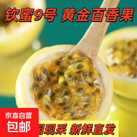 京喜加海南钦蜜9号黄金百香果5斤新鲜水果当季整箱包邮原浆特大果汁时令 20粒装（单果30g+）净重1.2斤