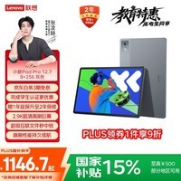 联想小新PadPro12.7 2025款平板电脑 国家补贴15% 2.9K高刷全面屏 娱乐学习 10200mAh 8+256G大象灰