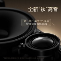 宝华韦健Zeppelin Pro【国家补贴】齐柏林飞艇第6代B&W无线HIFI蓝牙音箱智能音响 晨曦金