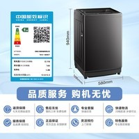 小天鹅（LittleSwan）波轮洗衣机全自动家用 12KG大容量 直驱变频 TB12-1809DT 以旧换新 国家补贴 京东自营 一级能效