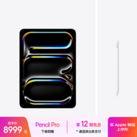 Apple/苹果【Pencil Pro套装】 iPad Pro11英寸 M5芯片 2025年新款平板电脑 256G WLAN版 深空黑色