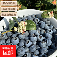 京喜加云南蓝莓【JD快递】花香蓝莓脆纯甜新鲜水果单盒净重70g+ 花香蓝莓15mm+ 4盒装