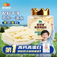 西域美农烤酸奶118g 高钙高蛋白质烤奶皮奶条奶酪乳制品 内蒙特产零食