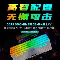 金百达（KINGBANK）192GB(48GBX4)套装 DDR5 6000 台式机内存条海力士M-die颗粒 星刃白RGB灯条 C28