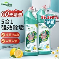 绿岛洁厕灵洁厕液500g 马桶清洁剂卫生间强效除臭垢厕所杀菌去异味