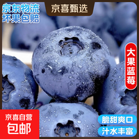 国产云南蓝莓超大果【多地JD快递】精选蓝莓 孕妇新鲜水果 4盒装 多买多划算【70-90g/盒】 中果【单果15mm+】