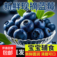 产自云南蓝莓鲜果大果 新鲜当季高山甜蓝梅孕妇水果整箱 6盒 大果 15mm+丨单盒净100g丨当天现摘