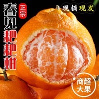甄乡田四川春见耙耙柑新鲜水果应季现摘整箱孕妇水果粑粑柑 耙耙柑净重8斤/单果70mm+