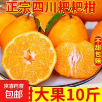 四川粑粑柑【多地】香甜多汁清甜爽口当季耙耙柑橘子桔子 带箱2斤【净重1.6斤】中果65mm+