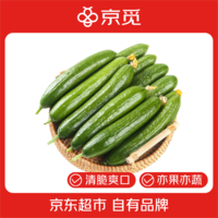 京觅山东荷兰水果黄瓜 净重5斤 单果约70g 健康轻食水果 源头直发