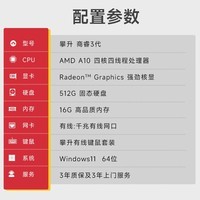 攀升商睿3 办公商用家用台式电脑台式机电脑mini主机迷你小主机（AMD-A10四核 16G 512G ）