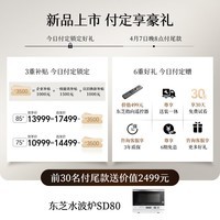 东芝REGZA R700SF 85英寸 原色RGB MiniLED电视 音画双芯升级 前出音 世界杯定制【固定挂架送装一体】