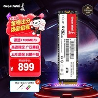 长城（Great Wall）1TB SSD固态硬盘 M.2接口(NVMe协议) PCIe4.0x4 读速高达7100MB/s GW7000系列