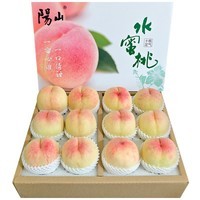 阳山水蜜桃 无锡阳山水蜜桃 新鲜水果桃子礼盒装 源头直发端午节送礼 礼盒装单果3-4两12个净重3.6斤+