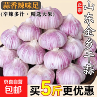 大蒜头2026年干蒜金乡大蒜优质紫白皮干货农家自种 【精品大蒜4.5厘米】6头