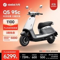九号（Ninebot）电动车2025款 电动摩托车Q5 95c 智能智驾 长续航电摩【门店自提】 到门店选颜色