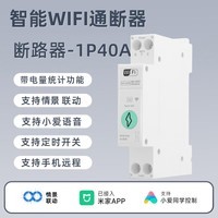德路普已接入手机APP智能断路器wifi空气开关手机远程定时开关小爱语音 1P+N-40A通断器（带电量统计）