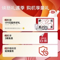 石头（roborock） P20  扫地机器人扫拖一体 智能上下水 自动集尘洗拖布烘干补水擦地拖地 P20系列品 P20