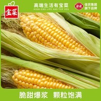 宝菜玉米新鲜黄甜玉米带皮水果玉米棒低脂减肥早餐 整箱包邮 5斤（约5-8根）