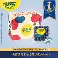 怡颗莓Driscoll\'s 云南蓝莓14mm+ 12盒装 约125g/盒 新鲜水果礼盒